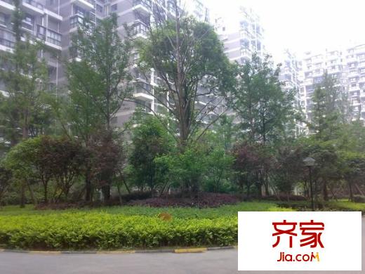 東立光華杏林外景圖