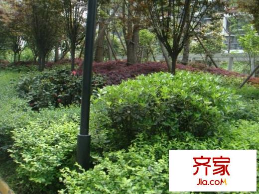 東立光華杏林外景圖