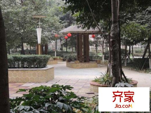 錦繡光華外景圖 