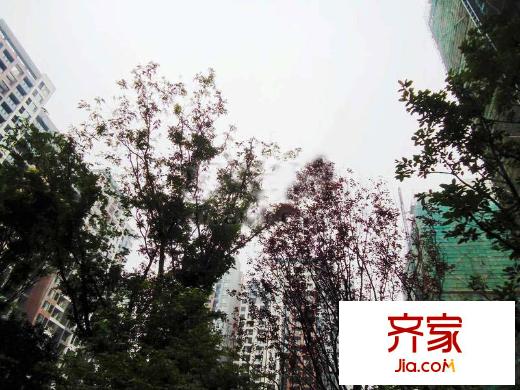 龍湖北城天街外景圖