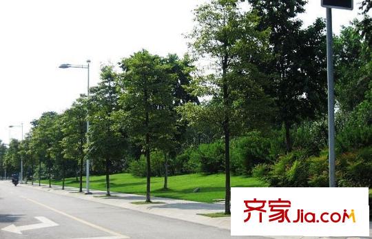 龍湖北城天街配套圖附近的綠化帶