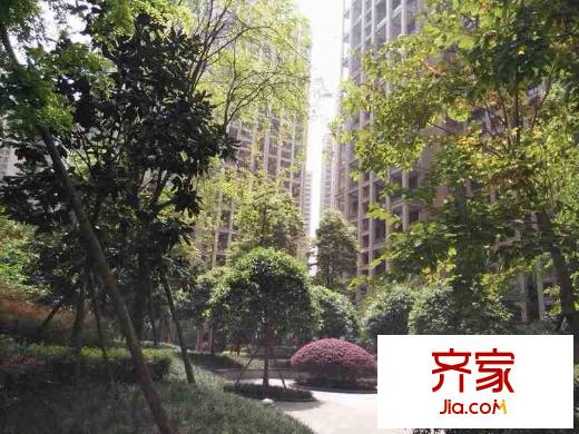 南湖國際社區(qū)