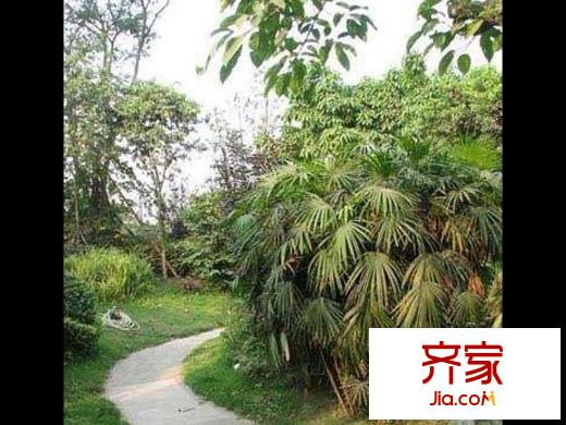 興元綠洲