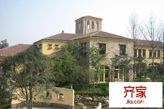 半山衛(wèi)城樸墅小區(qū)建筑實(shí)景（2015-12）