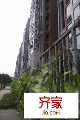 天際首府小區(qū)外部實景（2015-03-25）