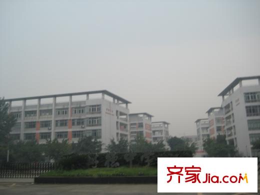 陽城心靈家園周邊配套 樹德中學(xué)