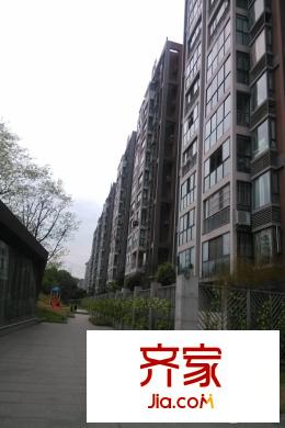 天際首府小區(qū)現(xiàn)房沿路實(shí)景（2015-03-25）