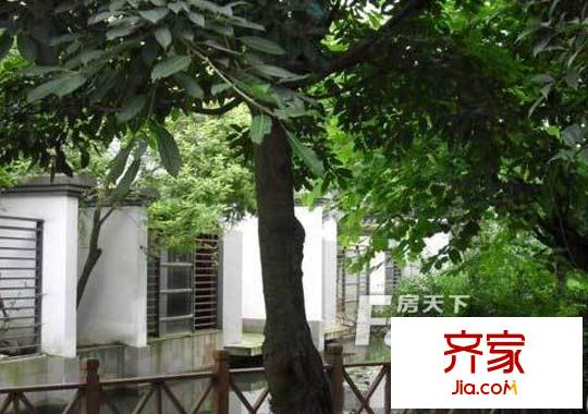錦鎮(zhèn)2期錦璽外景圖