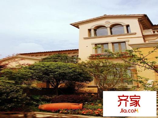 金色湖岸（2013-01-23）