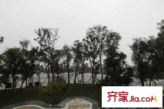 遠(yuǎn)大林語城別墅項(xiàng)目綠化帶外公路實(shí)景(2010-08)