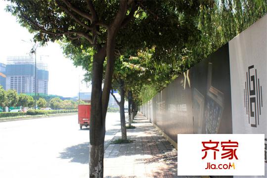智地哥譚（2015.3）