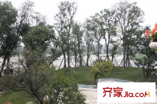 遠(yuǎn)大林語城別墅綠化帶外公路實(shí)景(2010-08)