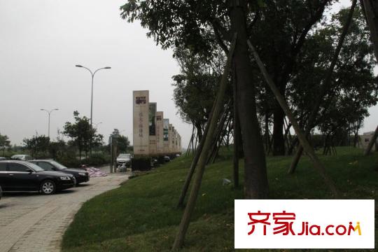遠(yuǎn)大林語城別墅項(xiàng)目綠化帶外人行道實(shí)景(2010-08)