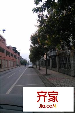 伊甸花都項目街邊實景（2015-3-22）