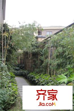 月映長(zhǎng)灘棲湖小區(qū)內(nèi)部綠化實(shí)景（2015-03-26）