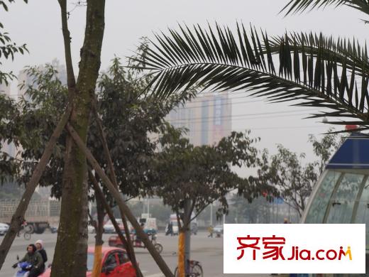 歌德堡周邊馬路