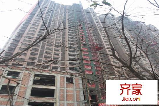 歌德堡項(xiàng)目（2015.3）