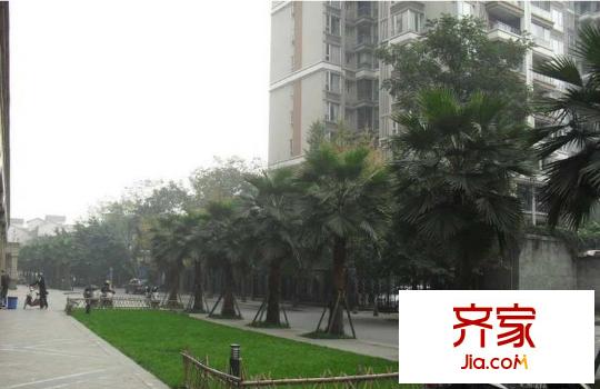北歐麗景