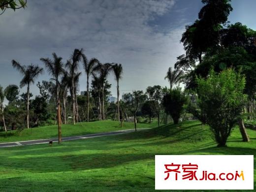 美城云庭周邊公園實(shí)景