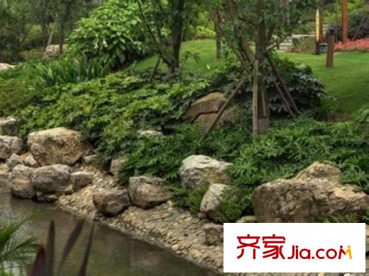 美城云庭周邊公園實(shí)景