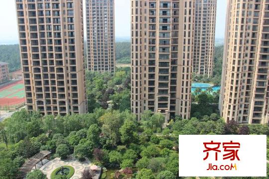 鉑雅苑項(xiàng)目小區(qū)園林實(shí)景（2015-4-28）