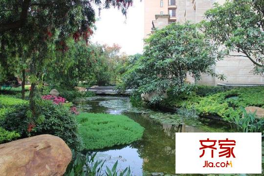 鉑雅苑項(xiàng)目小區(qū)園林實(shí)景（2015-4-28）