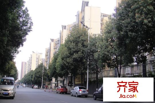 彩疊園小區(qū)外街道實(shí)景2015-3-19