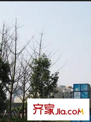 香山半島周邊（2013-05）