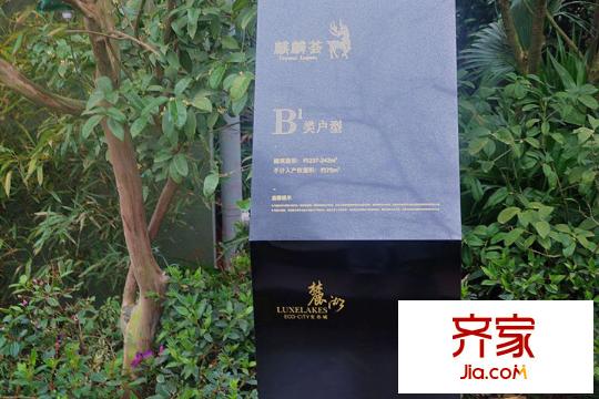 麓湖生態(tài)城麒麟薈售樓部樣板間提示（2015-12-25）