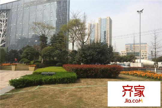 無國界（2015.3）