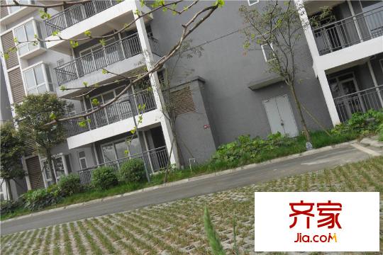 潤弘麗都小區(qū)實景（2015-3-30）