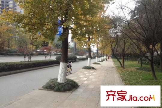 國一夢巢周邊――周邊小區(qū)環(huán)境