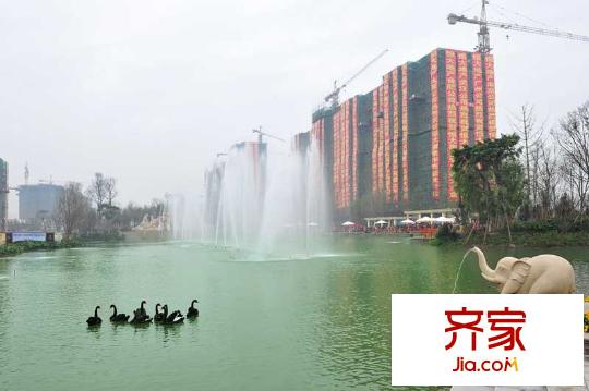 恒大御景半島項(xiàng)目施工實(shí)景（2010.11）