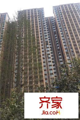 司南plus公寓（2015.3）