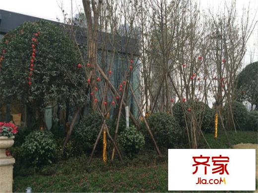 宏達(dá)世紀(jì)麗景售樓部實(shí)景（2014-5）