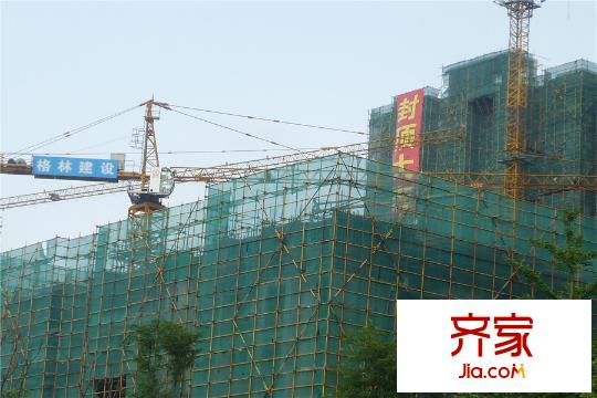 麥田國際社區(qū)項目工程進(jìn)度圖（2015.3）
