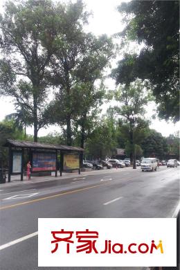 麥田國際社區(qū)項目周邊道路