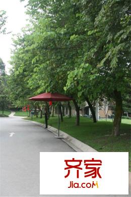 麓山國(guó)際社區(qū)IMAX大平層小區(qū)道路（2015.6.24）