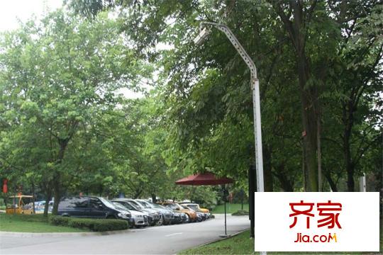 麓山國(guó)際社區(qū)IMAX大平層小區(qū)道路實(shí)景（2015.6.24）