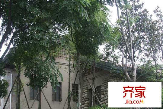 麓山國際社區(qū)IMAX大平層