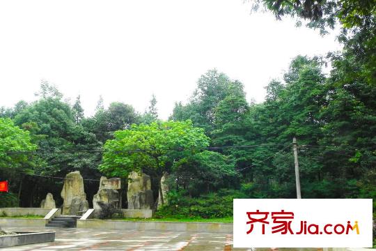 天合凱旋公館公園