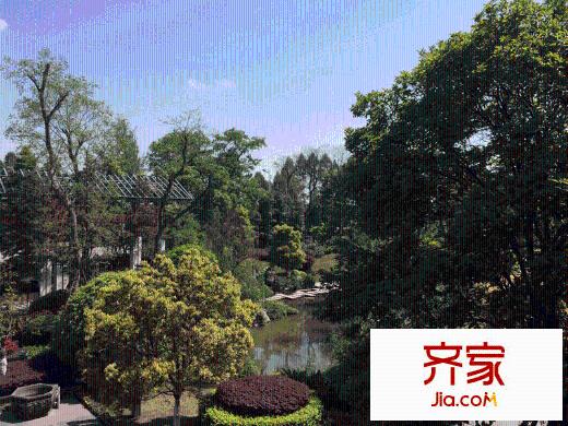 蓬萊尚島小區(qū)綠化（2014-04）