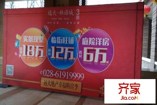 遠(yuǎn)大林語(yǔ)城南庭售樓處現(xiàn)場(chǎng)（2015.3.9）