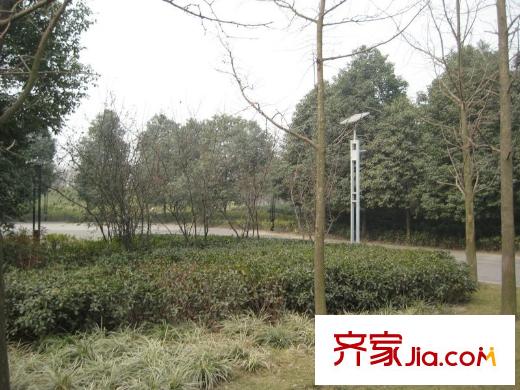 威蘭德小鎮(zhèn)雙流新城中心公園