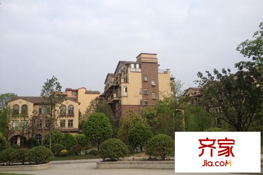 和貴南山上小區(qū)綠化（2015-3-29）