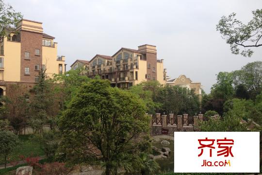 和貴南山上綠化（2015-3-29）