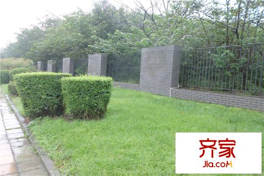 南城錦尚項(xiàng)目周邊道路綠化（2015.10.10）