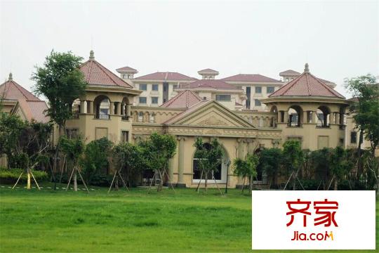 港基疊香莊園小區(qū)綠化（2015.3）