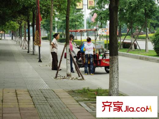 港基疊香莊園配套圖