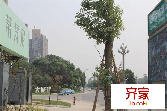蒂梵尼T公館周邊街道（2015.3）